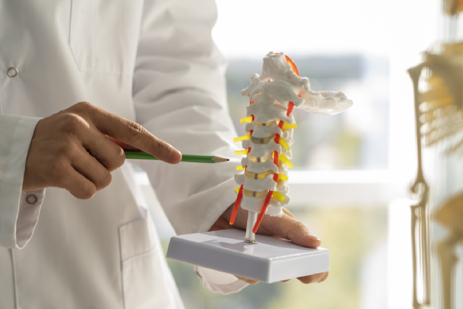 Can bone fracture heal itself?